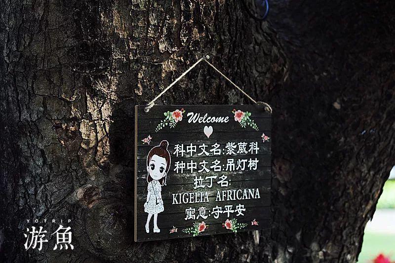 时间碎片